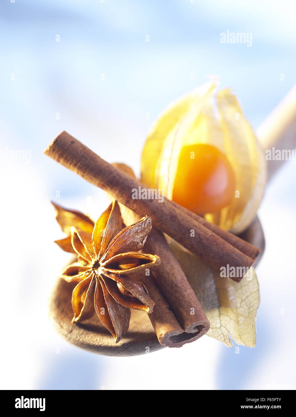 Physalis, bastoncini di cannella e anice stellato sul cucchiaio Foto Stock