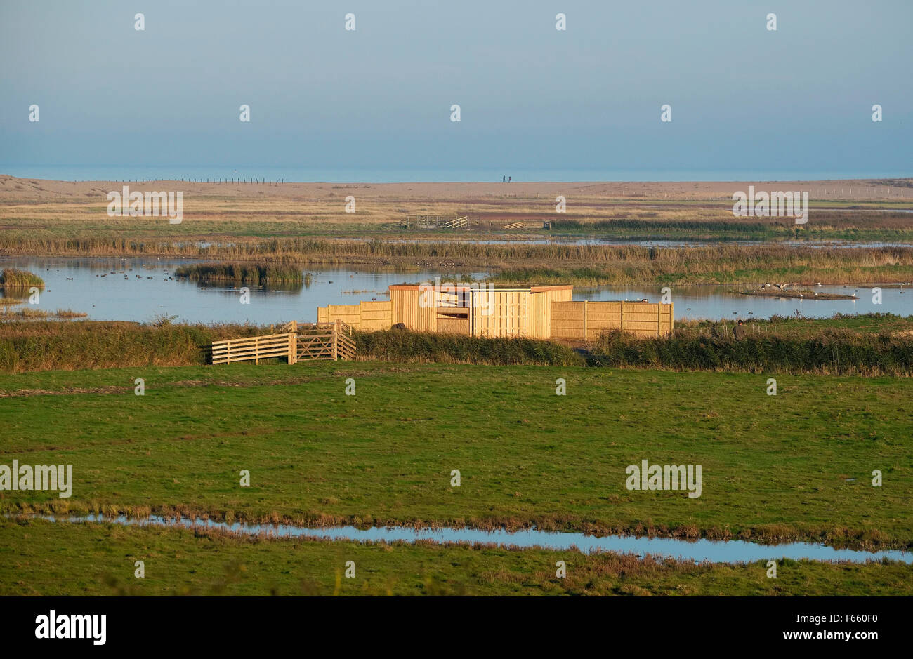 Nuovo babcock nascondi a cley riserva naturale, North Norfolk, Inghilterra Foto Stock