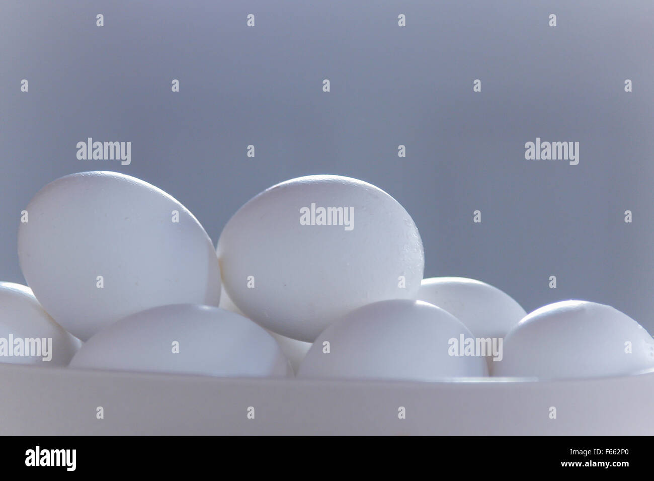 Silhouette di uova in guscio con una vista del paesaggio in grigio monotones. Foto Stock