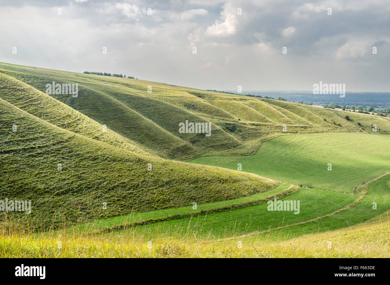 Guardando da Dragon Hill verso la mangiatoia e fianchi ripidi noti come i giganti passi, Oxfordshire, England, Regno Unito Foto Stock