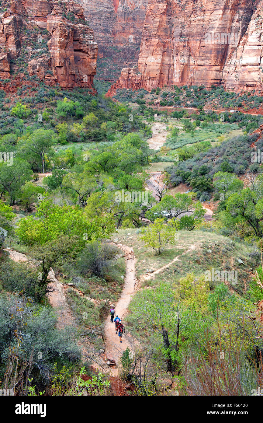 Vista da Hidden Canyon Trail, Parco Nazionale Zion, Utah. Foto Stock