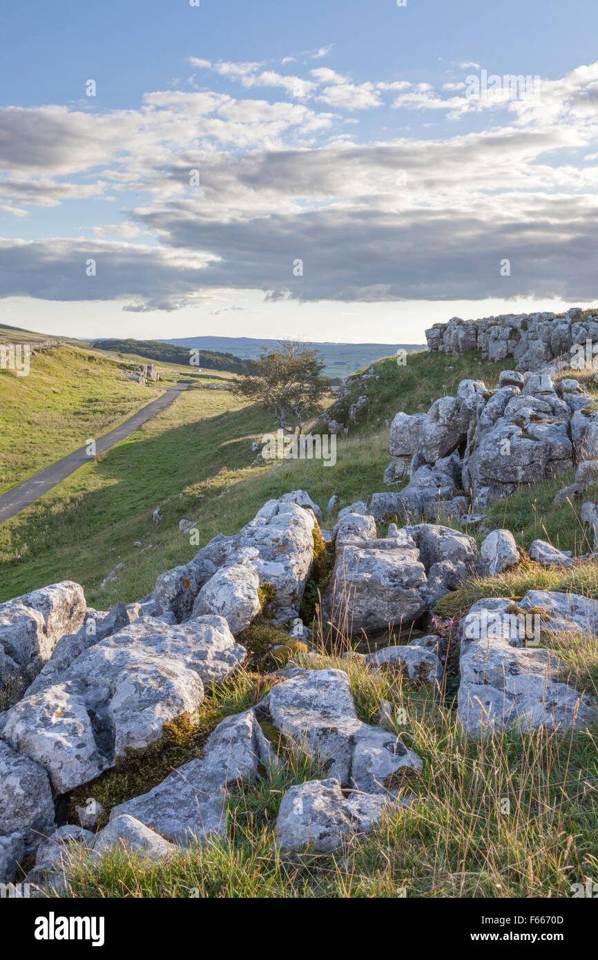 Luce della Sera su pietre Winskill Riserve Naturali, Yorkshire Dales National Park, North Yorkshire, Inghilterra, Regno Unito Foto Stock