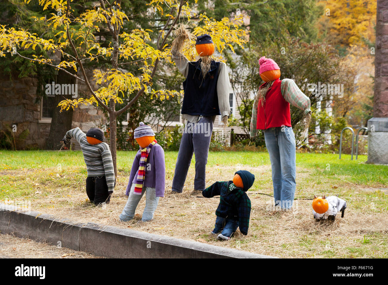 Halloween mannikins con teste di zucca dal lato della strada, Lenox, Berkshires, Massachusetts, New England USA Foto Stock
