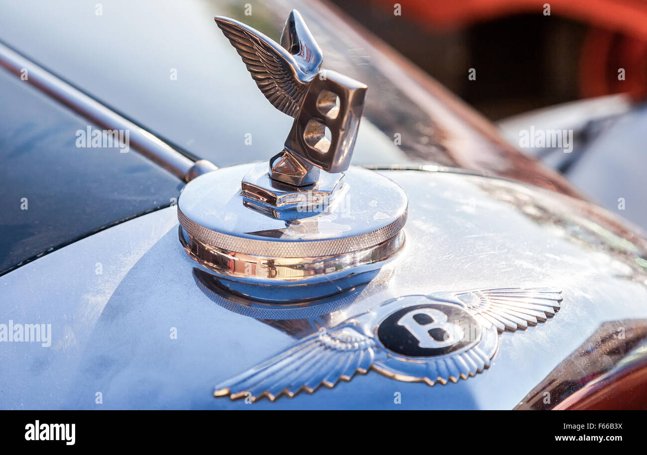 Bentley logo 'Flying B' su una Bentley R di tipo, anno 1953 Foto Stock