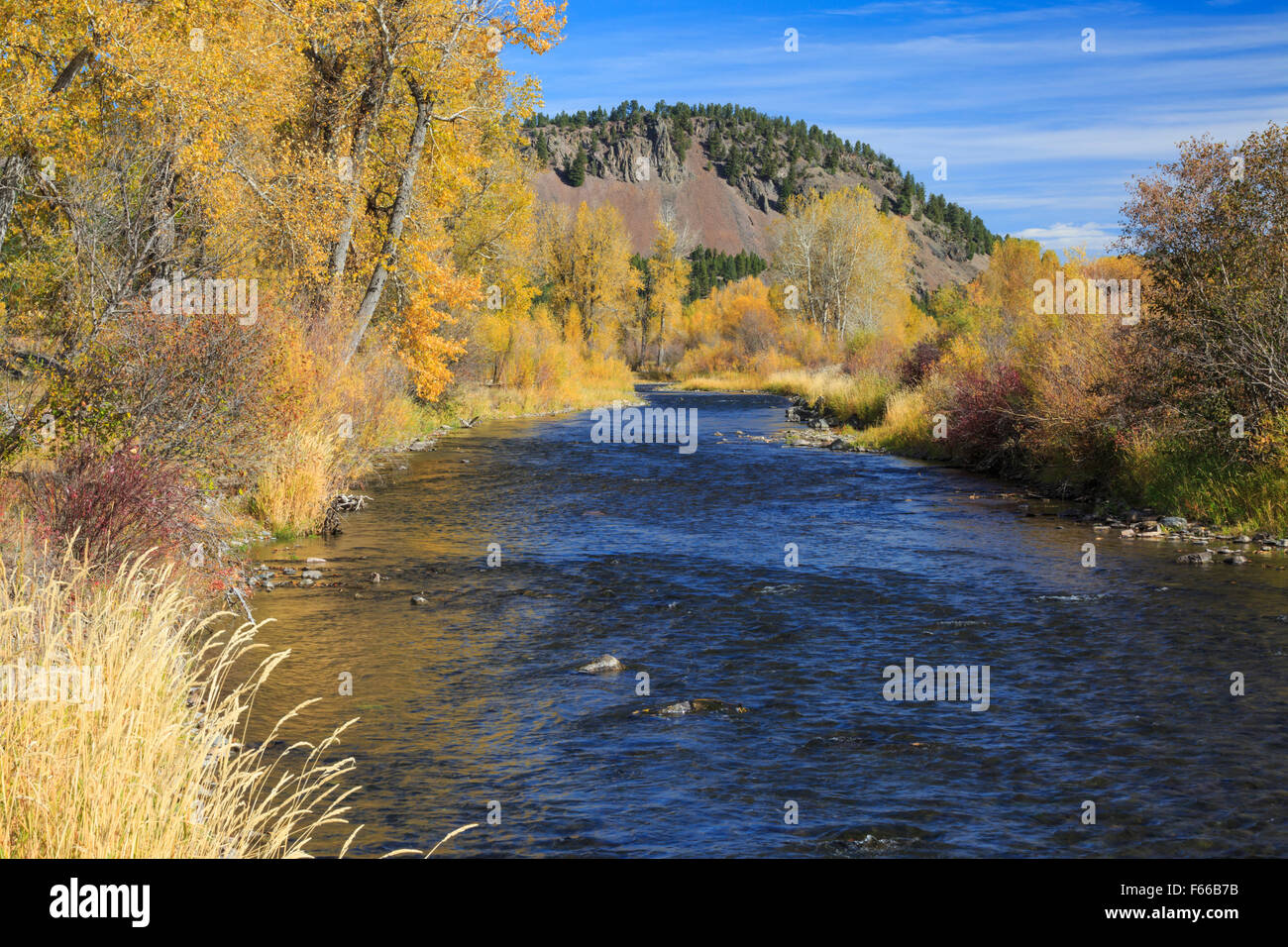 I colori dell'autunno lungo il Po' di BLACKFOOT in prossimità del fiume Avon, montana Foto Stock