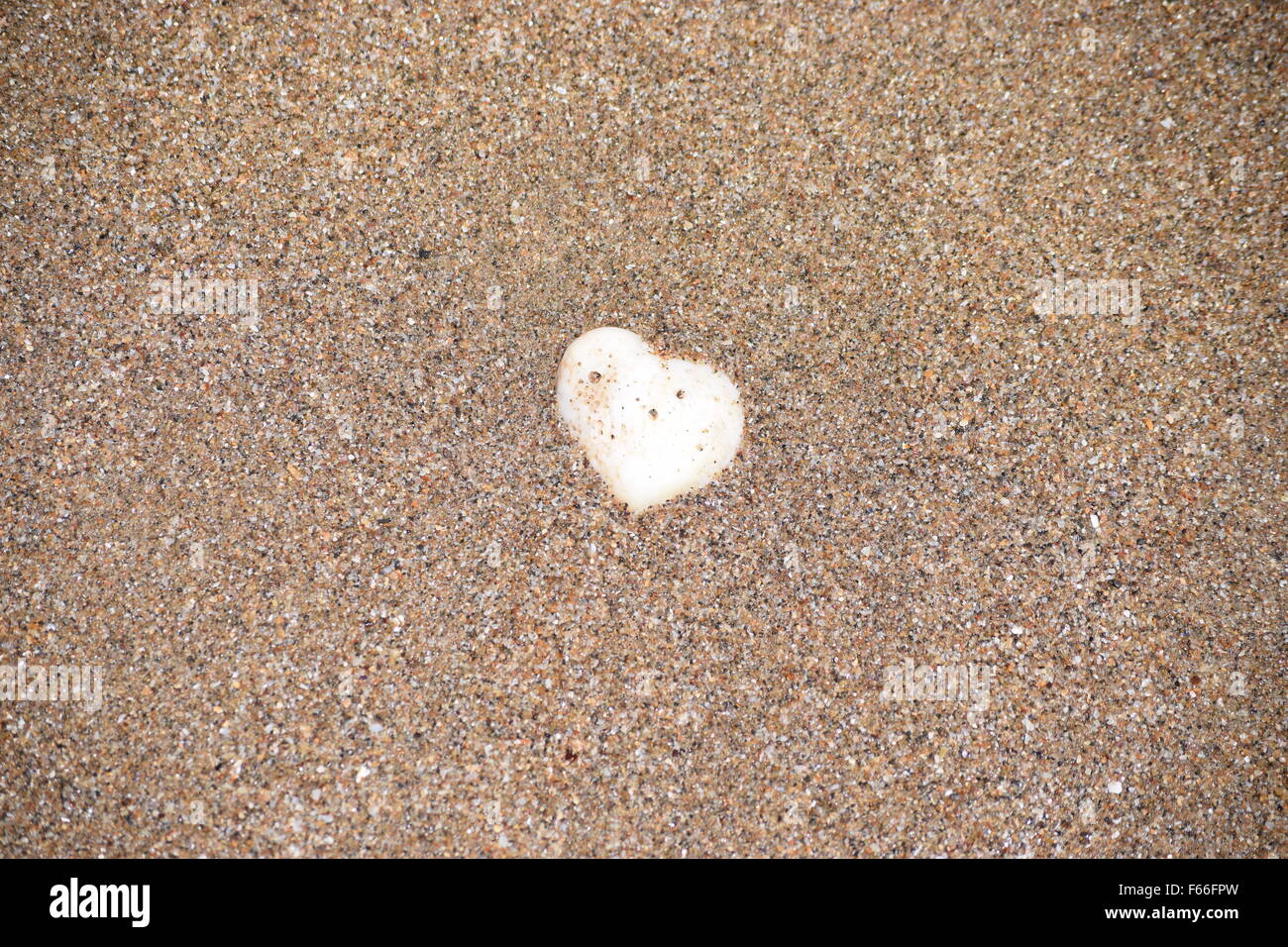 Naturale a forma di cuore rock trovati sulla spiaggia Foto Stock