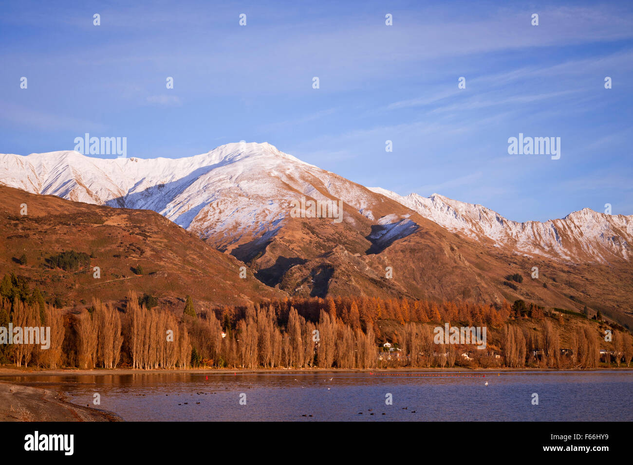 Il lago Wanaka paesaggio, Isola del Sud, Nuova Zelanda Foto Stock