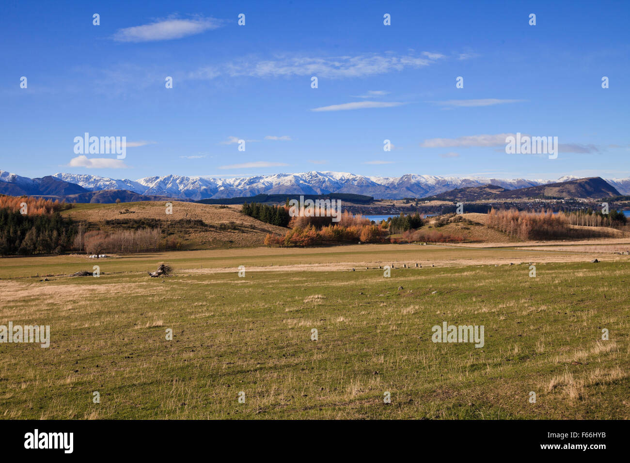 Wanaka paesaggio paesaggio, Isola del Sud, Nuova Zelanda Foto Stock