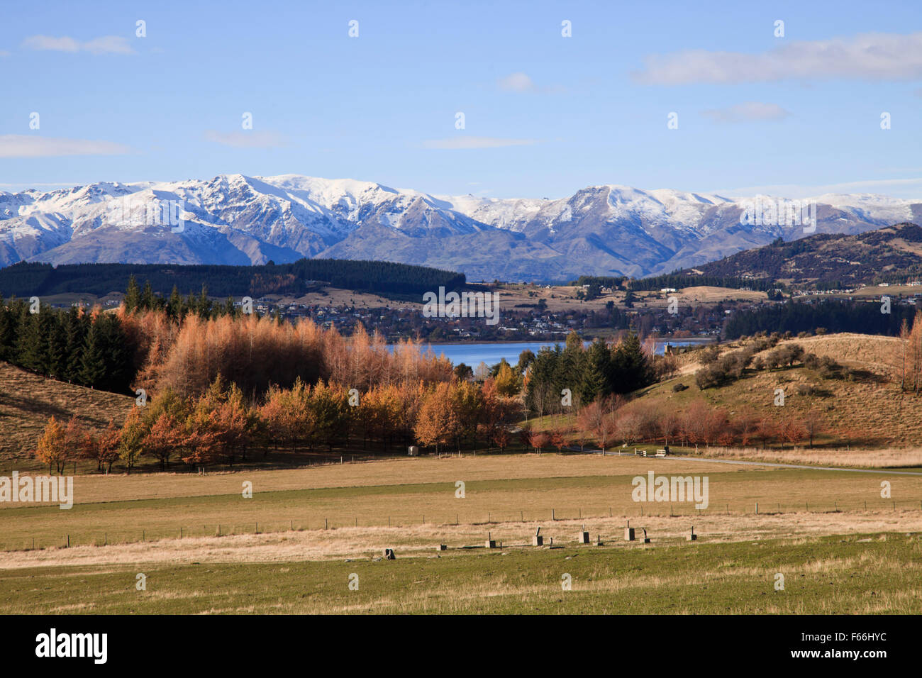 Wanaka paesaggio paesaggio, Isola del Sud, Nuova Zelanda Foto Stock
