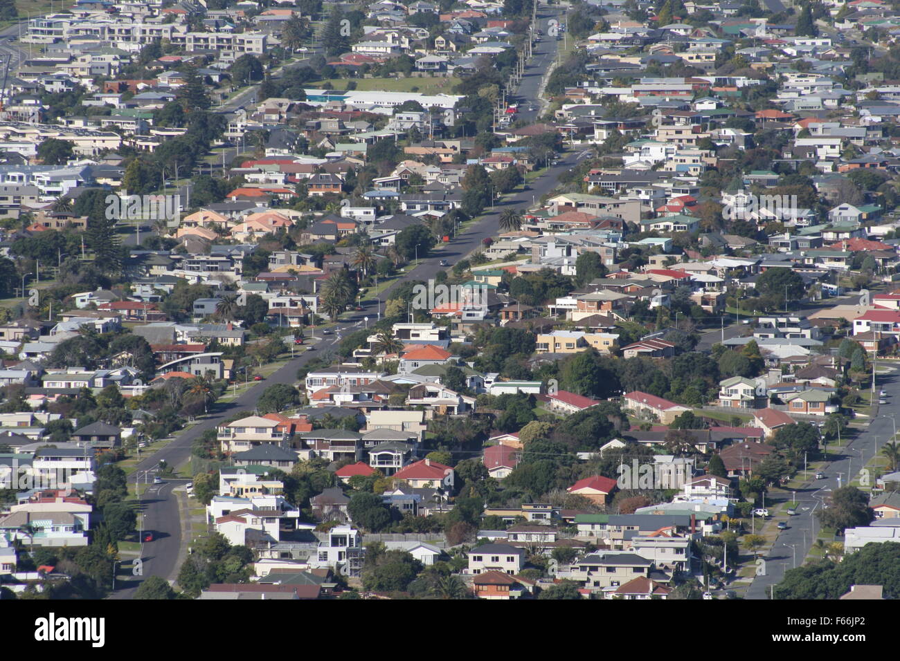 Vista aerea di case a Mount Maunganui, Tauranga, Baia di Planty, Nuova Zelanda Foto Stock