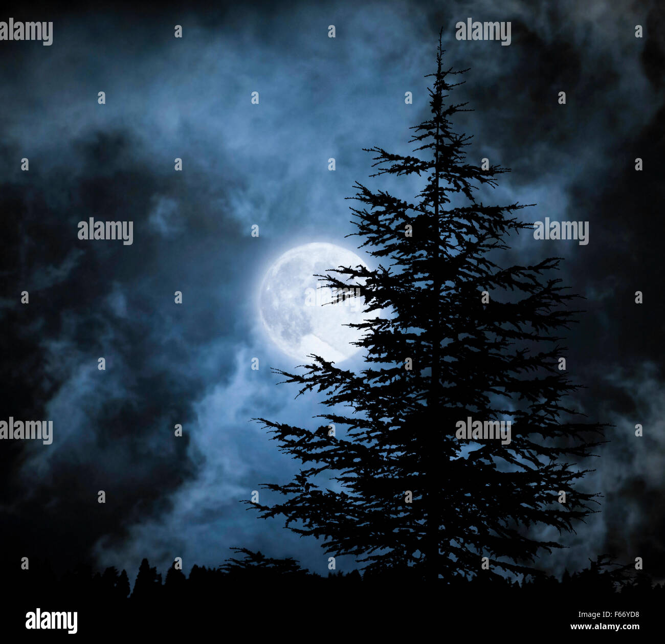 Paesaggio magico con pino drammatica sotto il cielo nuvoloso durante la luna piena Foto Stock