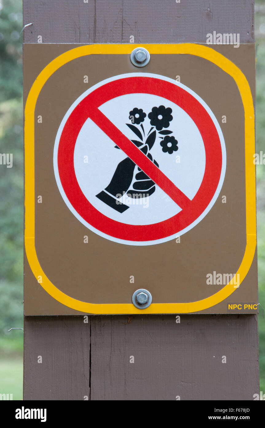 Segno, NON raccogliere i fiori, Foto Stock