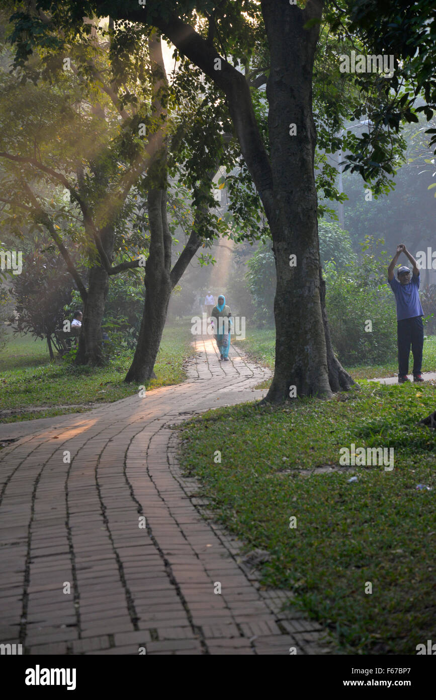 Dacca in Bangladesh. Xiii Nov, 2015. I popoli del Bangladesh sono a piedi di mattina nel Parco di Ramna a Dhaka, nel Bangladesh. Il 13 novembre 2015 la Giornata mondiale del diabete, il 14 novembre di ogni anno è cresciuto da umili inizi a diventare a livello globale evento celebrato per aumentare la sensibilizzazione sul diabete. Il tema è uno stile di vita sano e avente una sana prima colazione. Credito: Mamunur Rashid/Alamy Live News Foto Stock