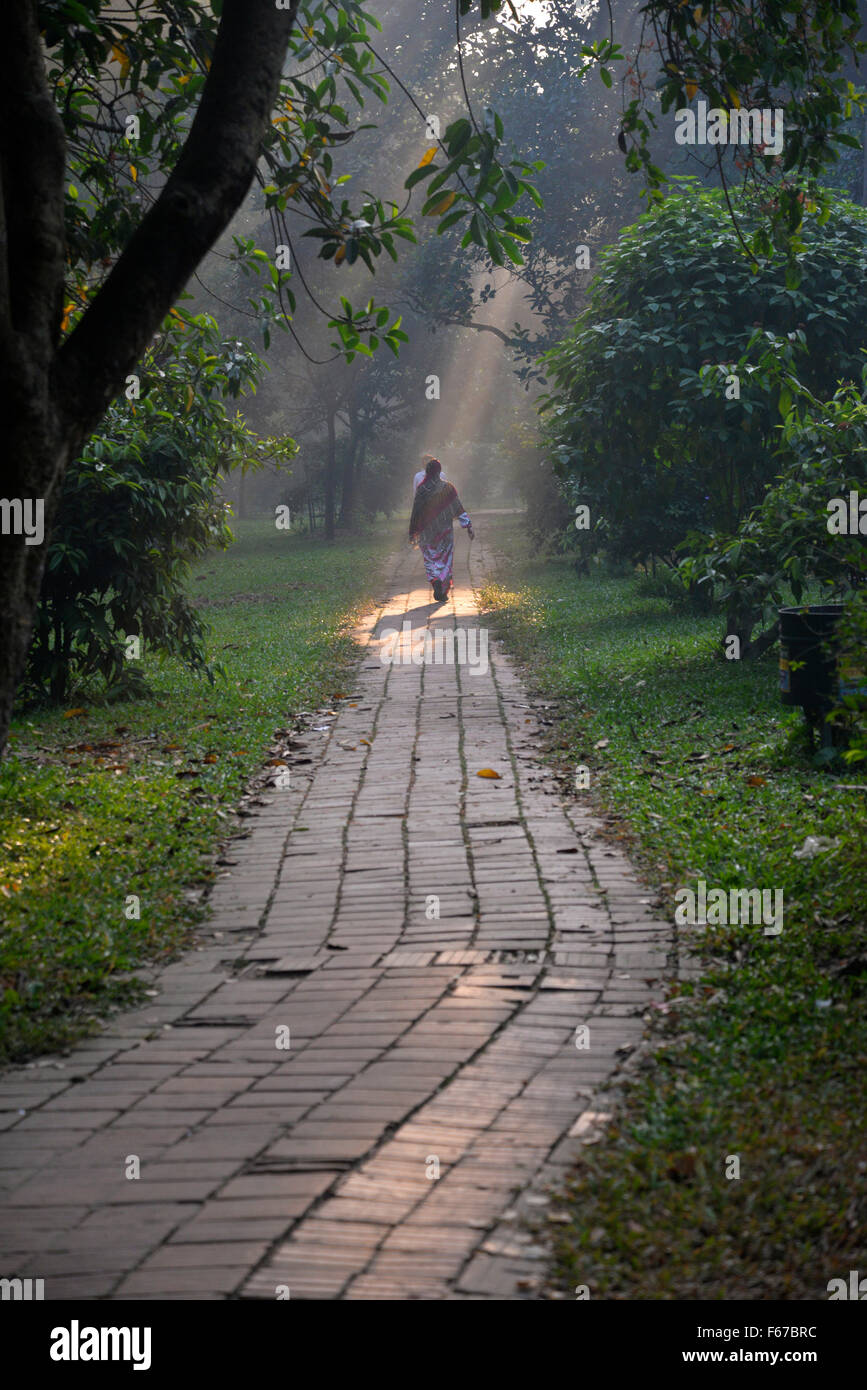 Dacca in Bangladesh. Xiii Nov, 2015. I popoli del Bangladesh sono a piedi di mattina nel Parco di Ramna a Dhaka, nel Bangladesh. Il 13 novembre 2015 la Giornata mondiale del diabete, il 14 novembre di ogni anno è cresciuto da umili inizi a diventare a livello globale evento celebrato per aumentare la sensibilizzazione sul diabete. Il tema è uno stile di vita sano e avente una sana prima colazione. Credito: Mamunur Rashid/Alamy Live News Foto Stock