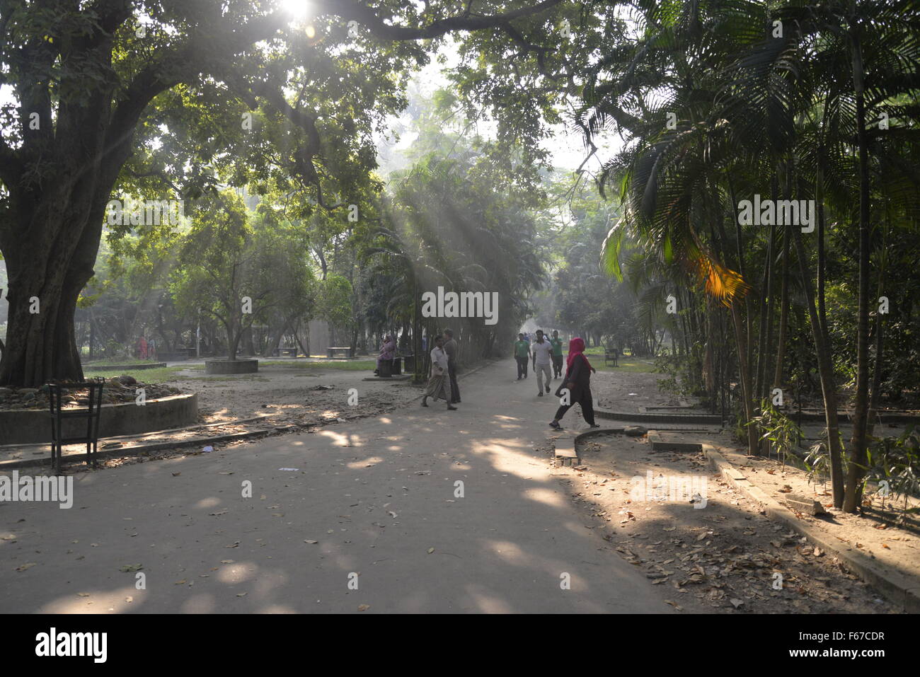 Dacca in Bangladesh. Xiii Nov, 2015. I popoli del Bangladesh sono a piedi di mattina nel Parco di Ramna a Dhaka, nel Bangladesh. Il 13 novembre 2015 la Giornata mondiale del diabete, il 14 novembre di ogni anno è cresciuto da umili inizi a diventare a livello globale evento celebrato per aumentare la sensibilizzazione sul diabete. Il tema è uno stile di vita sano e avente una sana prima colazione. Credito: Mamunur Rashid/Alamy Live News Foto Stock