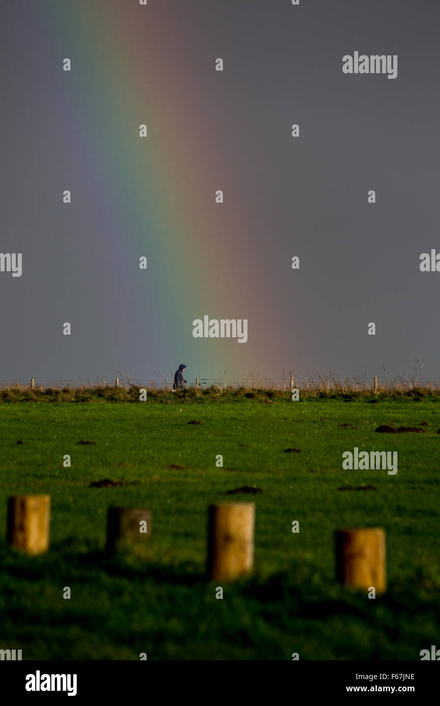 Westbury, Wiltshire, Regno Unito. 13 Novembre, 2015. I resti di tempesta Abigail portare acquazzoni pesanti e sorprendenti arcobaleni oltre il White Horse Hill Fort su Salisbury Plain guardando oltre la città di Westbury. Credito: Wayne Farrell/Alamy Live News Foto Stock