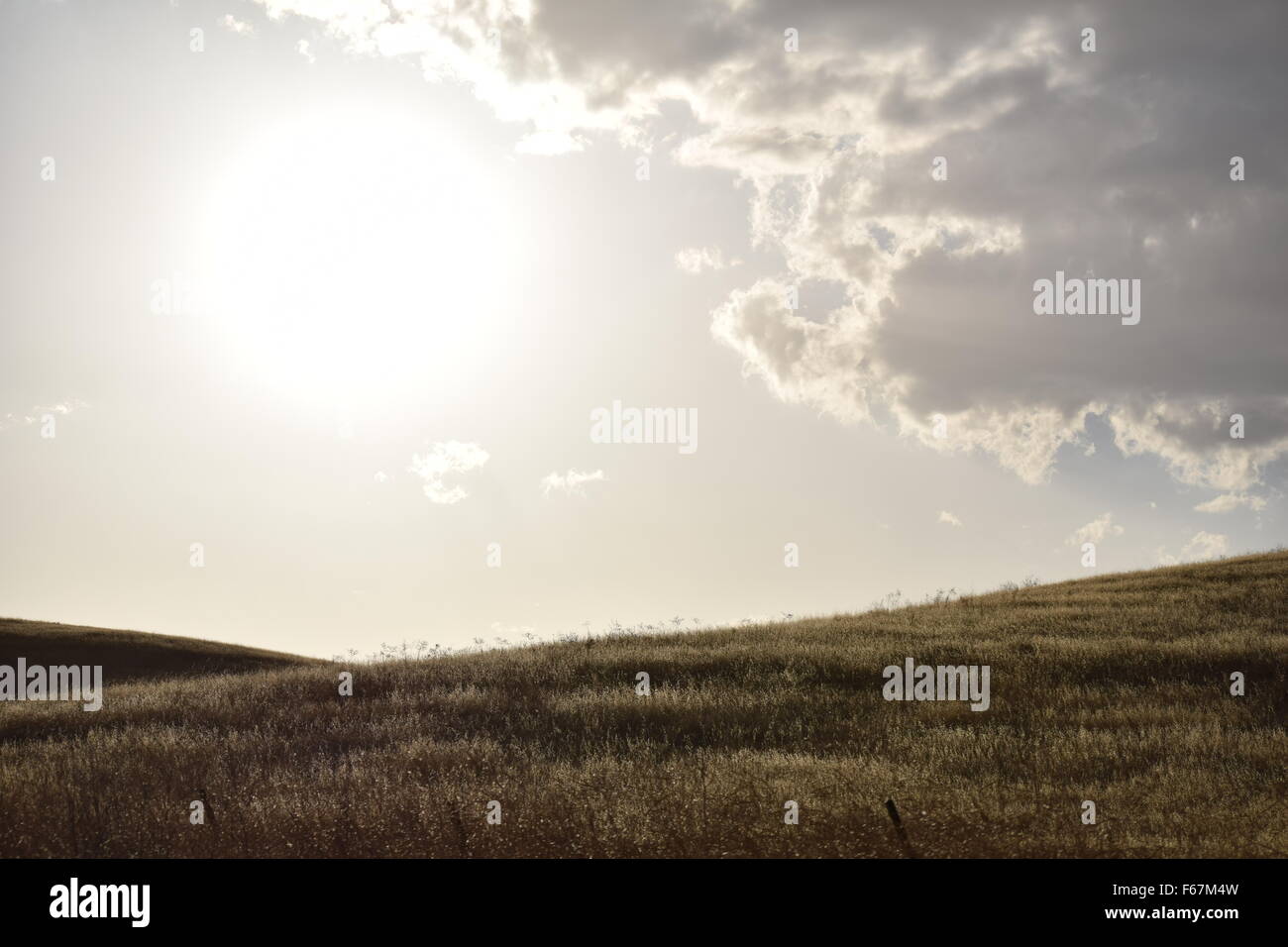 Il sole basso appeso su un paesaggio erbosa. Le nuvole si radunano vicino e la luce del sole proietta raggi attraverso il cielo e la terra. Foto Stock