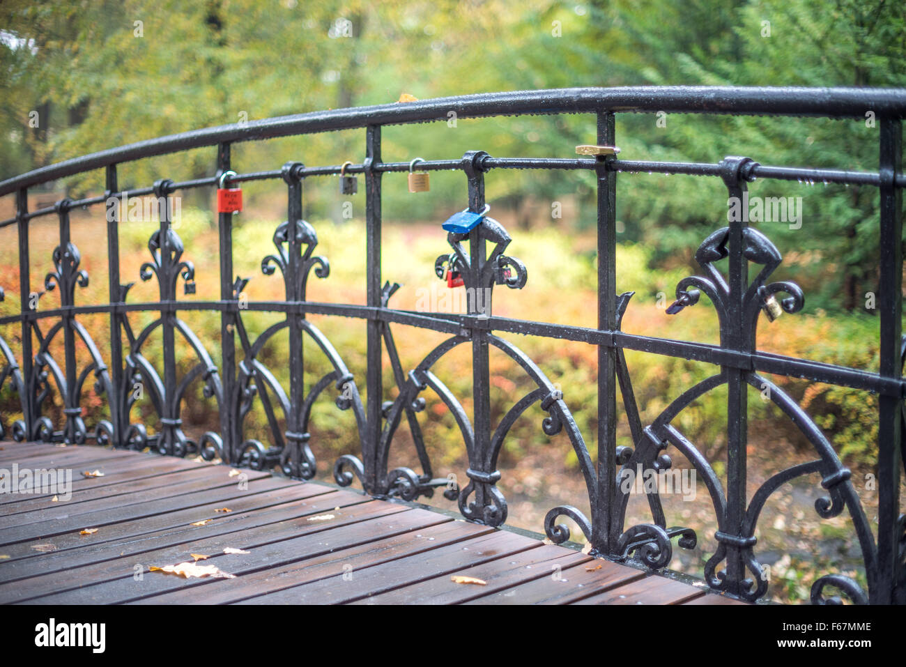 Vecchia ringhiera in ferro con colori d'autunno sfondo Foto Stock