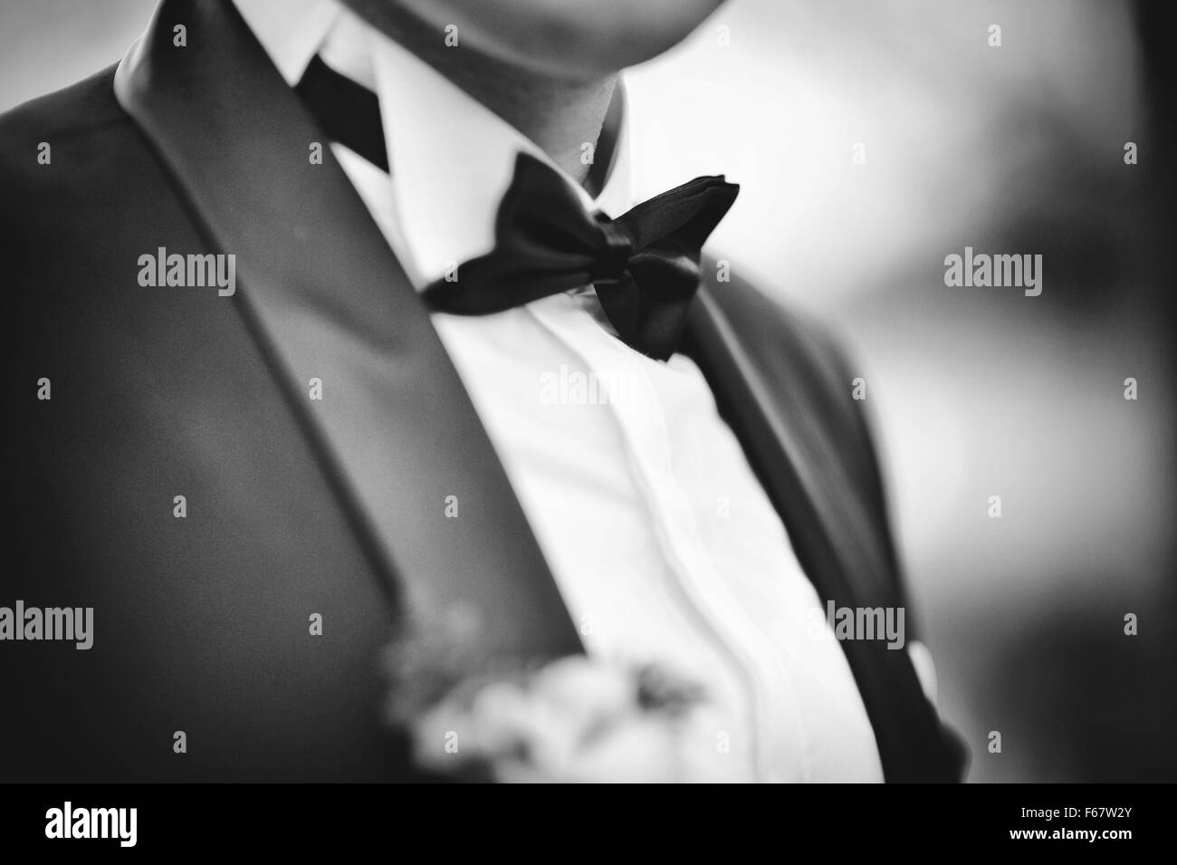 Wedding bow tie di groom Foto Stock