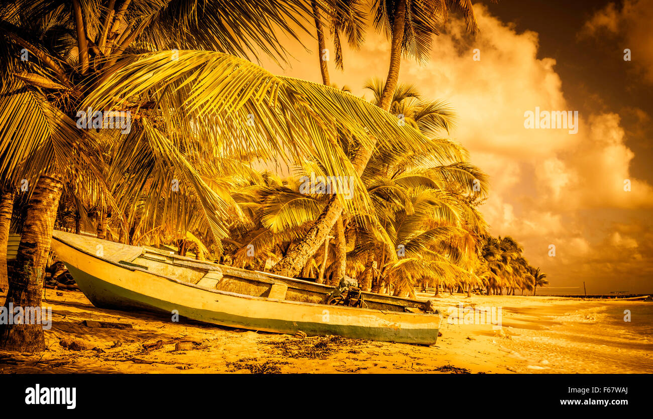 Golden paesaggio di caribbeach spiaggia e una barca a motore Foto Stock