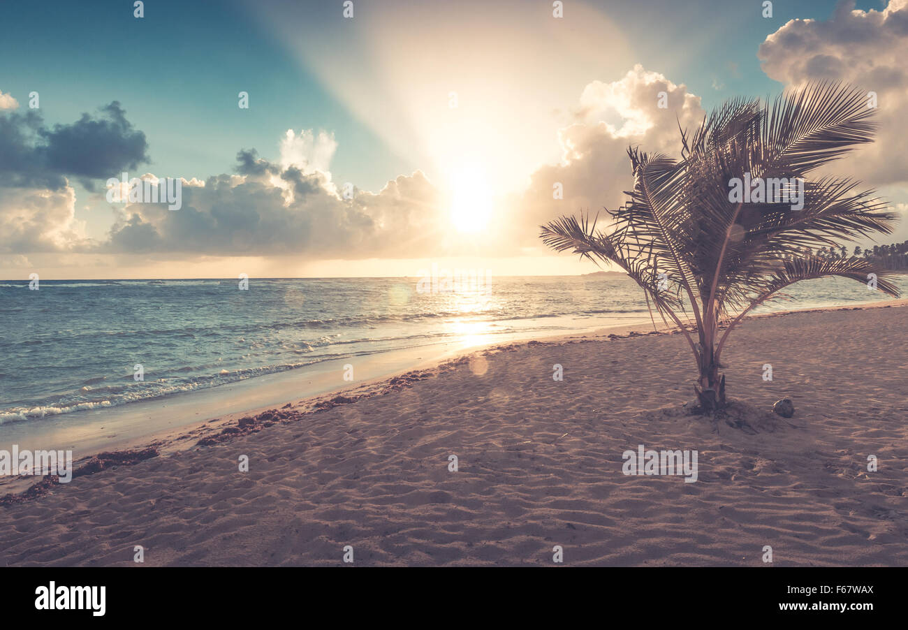 Bella mattina sulla spiaggia caraibica in Repubblica Dominicana Foto Stock