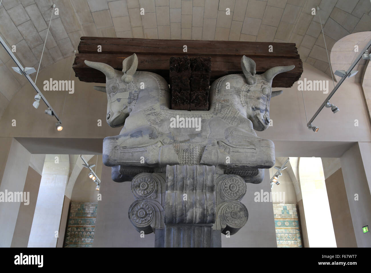 Colonna di capitale. Camera di audience Hall. Apadama. Palazzo di Dario il Grande. V secolo A.C. Susa. L'Iran. Il museo del Louvre. Parigi. Foto Stock