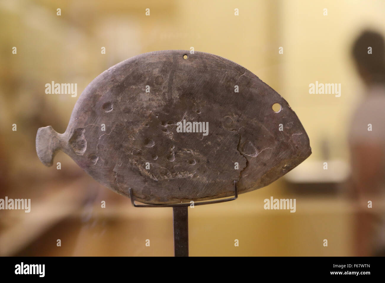 Periodo preistorico. Periodo Predynastic, Nagada I (3800-3500 a.C.). Tavolozza Fish-Shaped. L'Egitto. Il museo del Louvre. Parigi. La Francia. Foto Stock