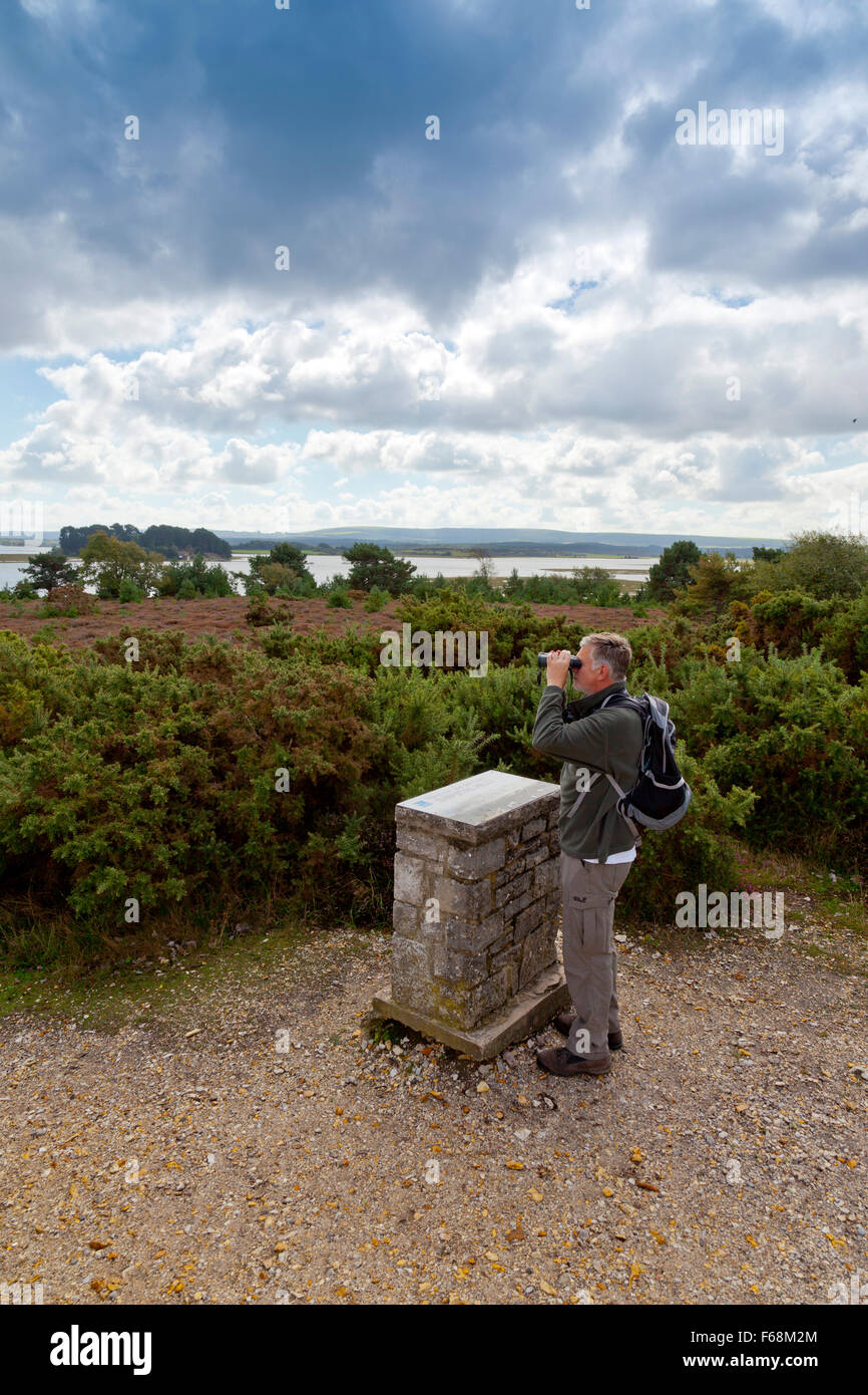 Una osservazione degli uccelli a Shipstal collina in RSPB Arne riserva, il porto di Poole, Dorset, England, Regno Unito Foto Stock