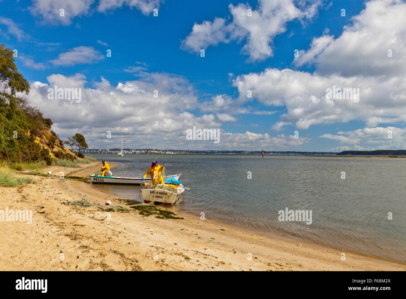 Anello di due pescatori netto su una spiaggia presso la RSPB Arne riserva nel porto di Poole, Dorset, Inghilterra. Foto Stock