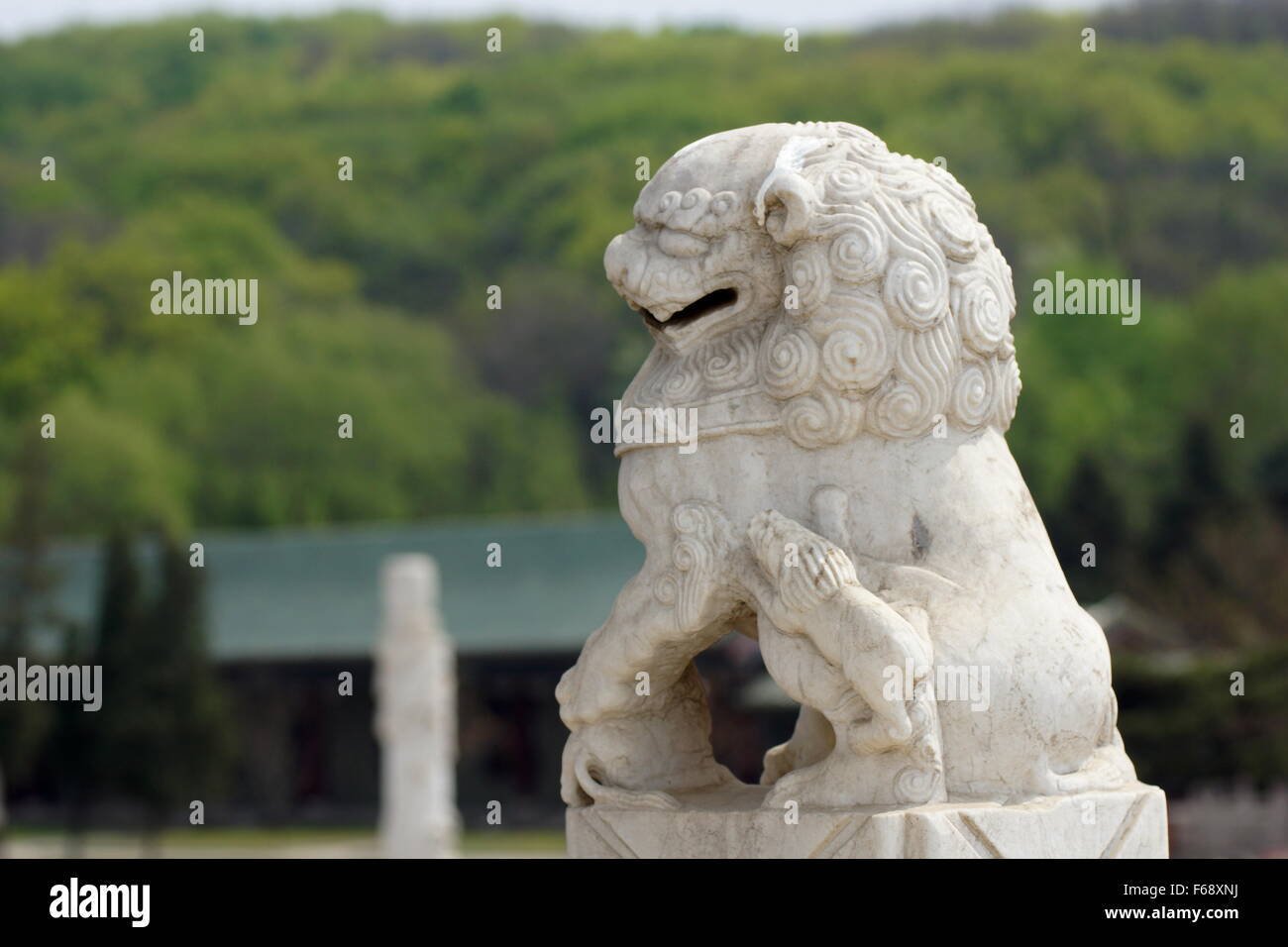 Custode cinese leoni, Imperial guardian leoni, Shi, Foo cane, Fu cane, cane Leone Foto Stock