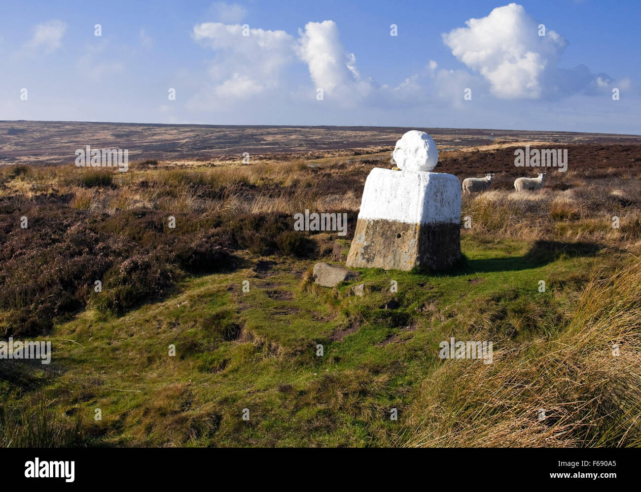 Fat betty [croce bianca] sopra rosedale danby alta moor North York Moors National Park North Yorkshire England Regno Unito Foto Stock