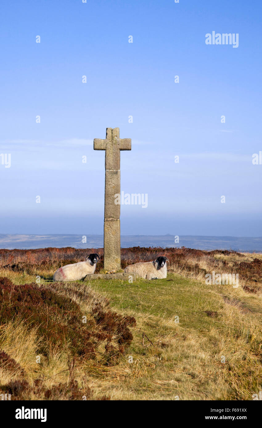 Giovani ralph cross rosedale capo North York Moors National Park North Yorkshire England Regno Unito Foto Stock