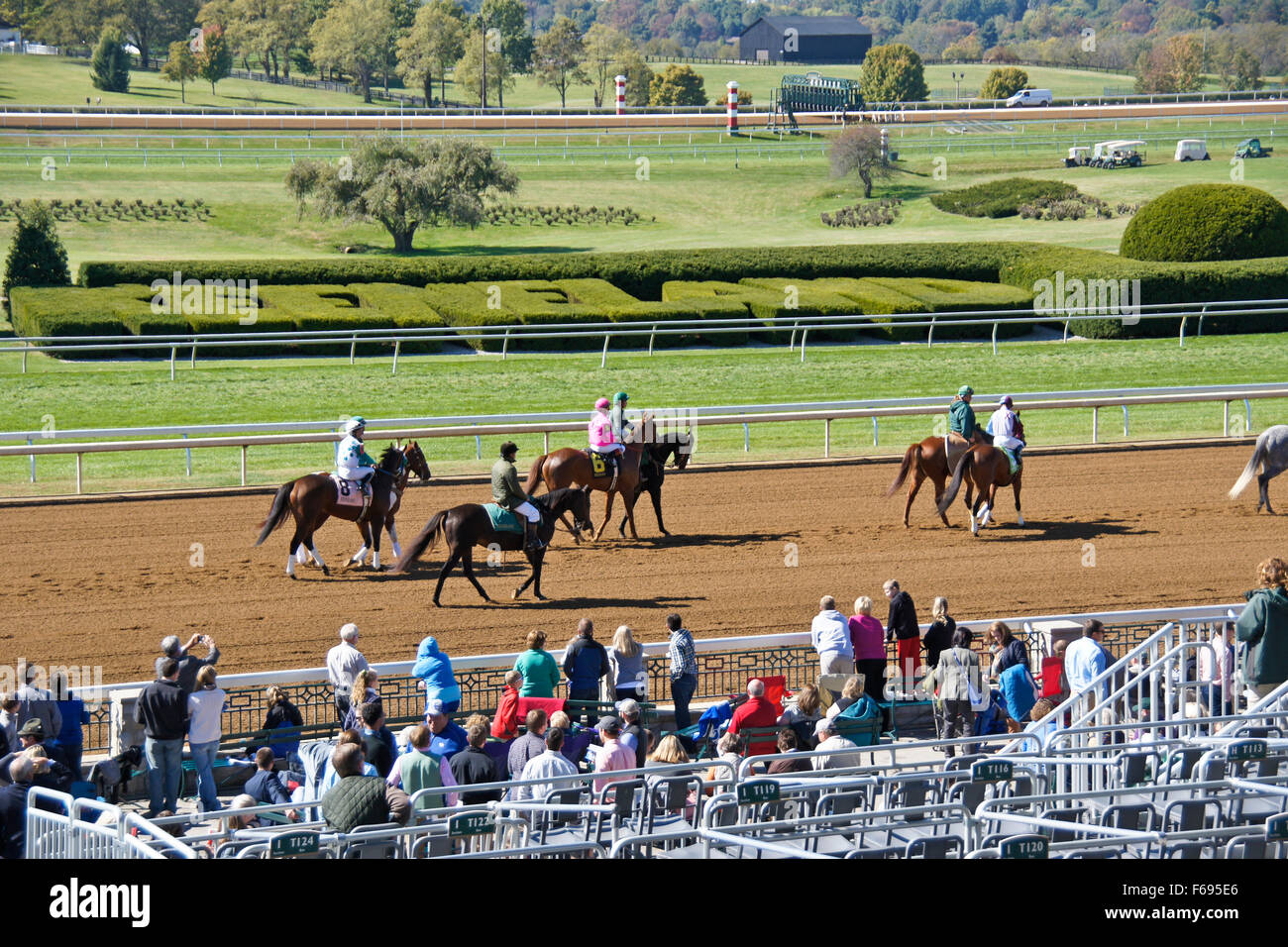 I cavalli purosangue a piedi il cancello a Keeneland, Lexington, Kentucky Foto Stock