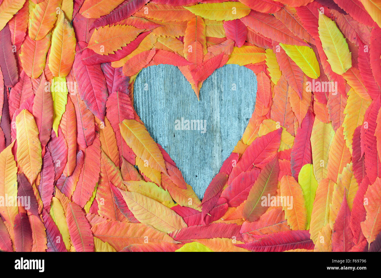 Foto di colorate Foglie di autunno in una forma di cuore Foto Stock