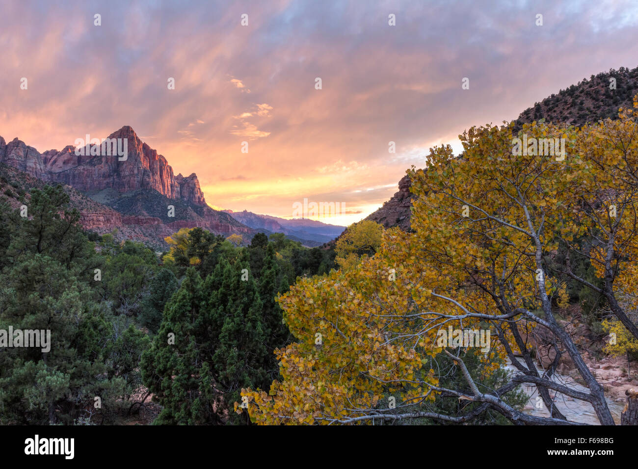 Tramonto sul Monte sentinella con un Giallo autunno pioppi neri americani tree e il fiume vergine in primo piano, il Parco Nazionale di Zion. Foto Stock