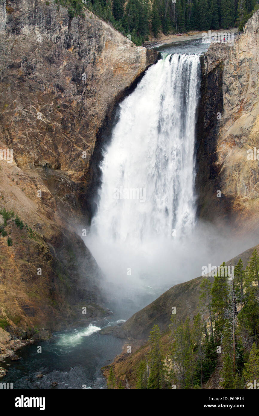 Abbassare la cascata di Yellowstone Foto Stock