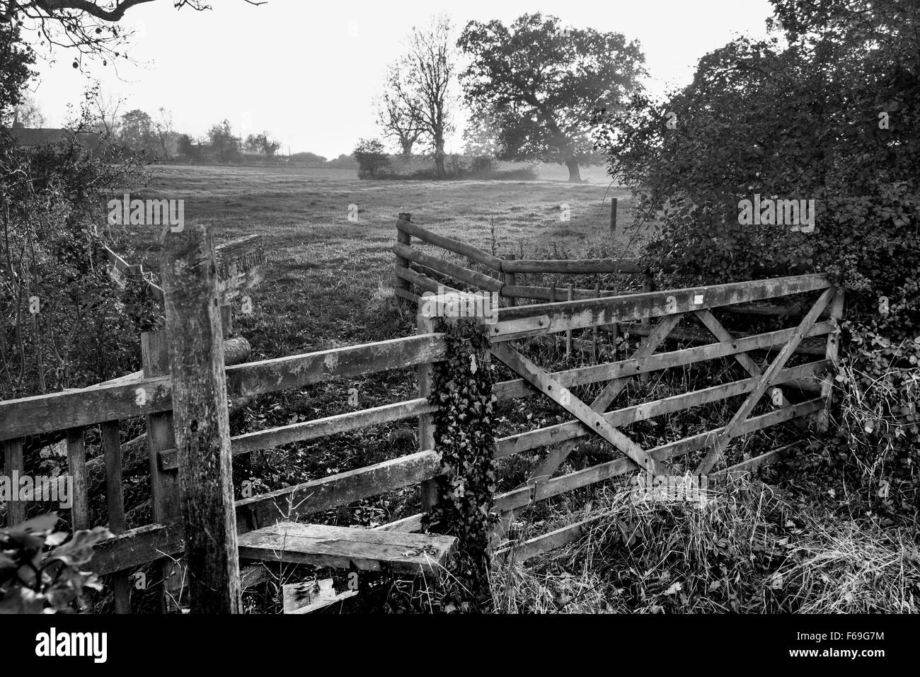 Stile e gate con "sentiero pubblico ' segno. Inghilterra, Regno Unito Foto Stock