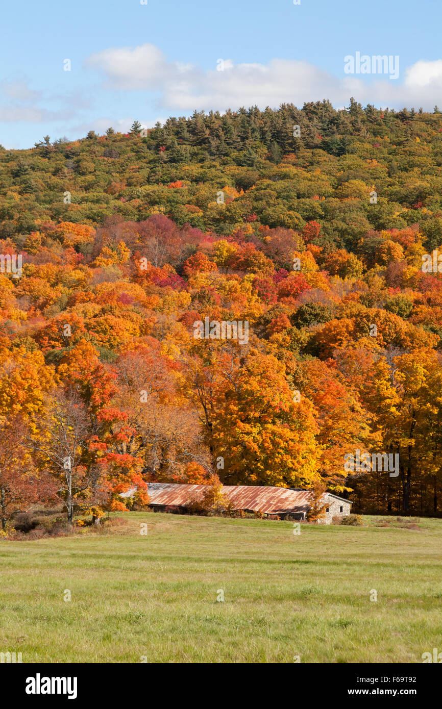 Il vecchio fienile in un campo con fogliame di autunno, Berkshires, Massachusetts MA, New England USA Foto Stock