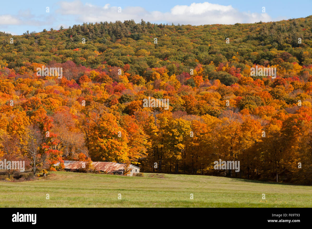 Il vecchio fienile in un campo con fogliame di autunno, Berkshires, Massachusetts MA, New England USA Foto Stock