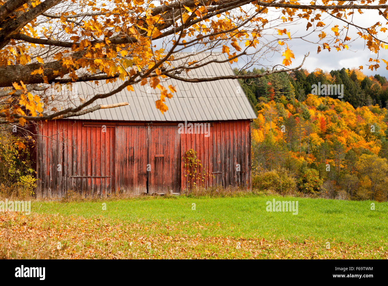 Il vecchio granaio rosso in una fattoria in autunno, Vermont VT, New England USA Foto Stock