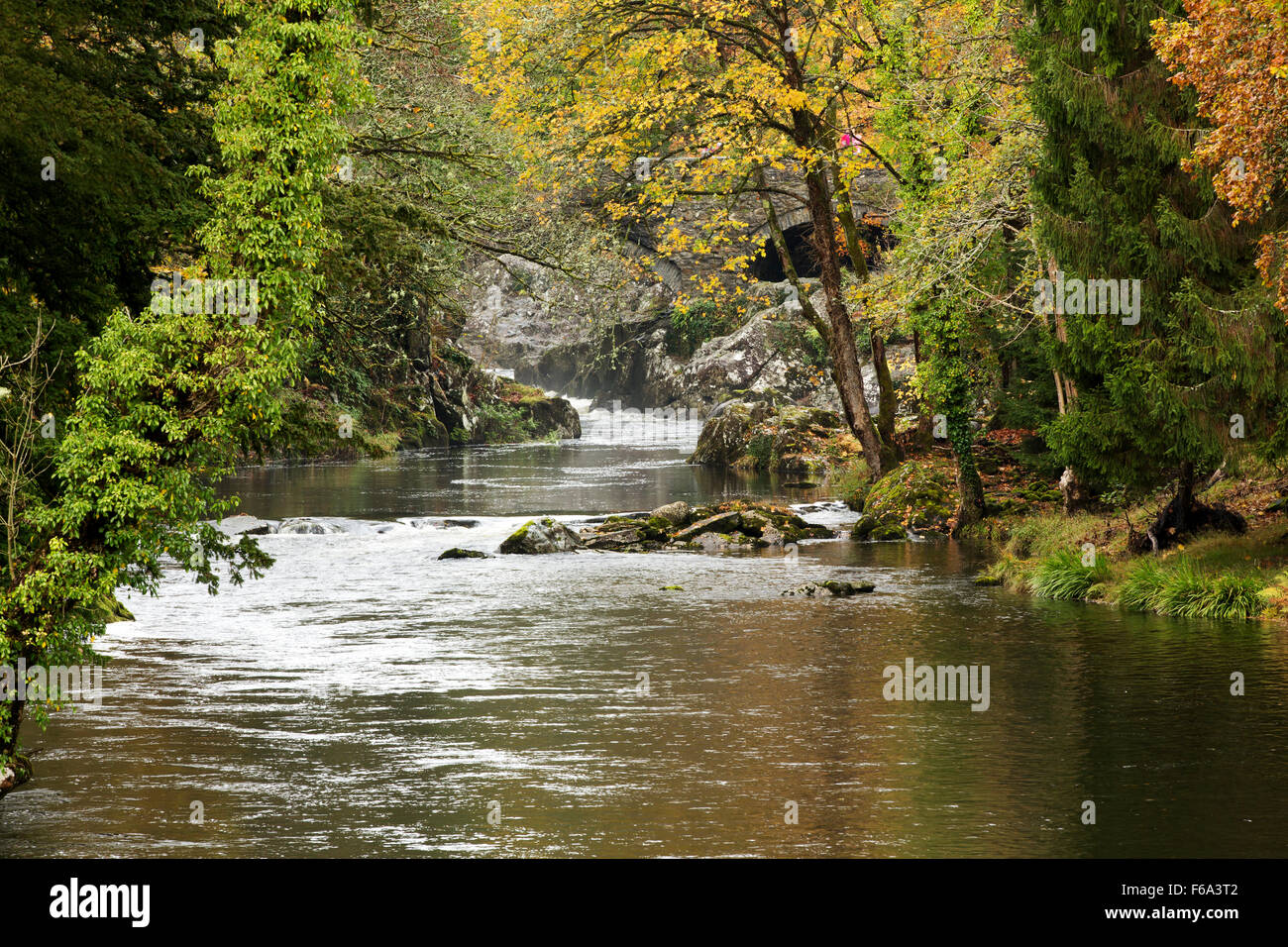 Autunno River. Colore di autunno lungo le rive di un veloce che scorre il fiume. Moss pietre coperta la linea di riva sovradimensionate. Foto Stock