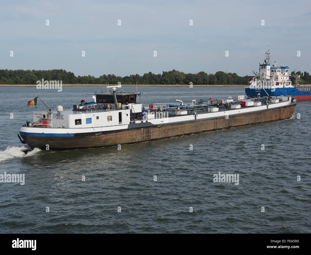 Una fotografia di Cerambycida, una nave industriale a Zandvlietsluis, porto di Anversa. L'immagine evidenzia la portata delle operazioni di spedizione in questo porto affollato, con gru che scaricano container e carichi come carbone, grano e petrolio. Foto Stock
