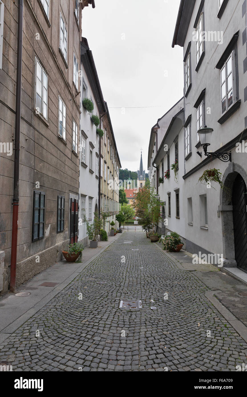 Lubiana tranquilla strada stretta con fiori in vasi. La Slovenia. Foto Stock