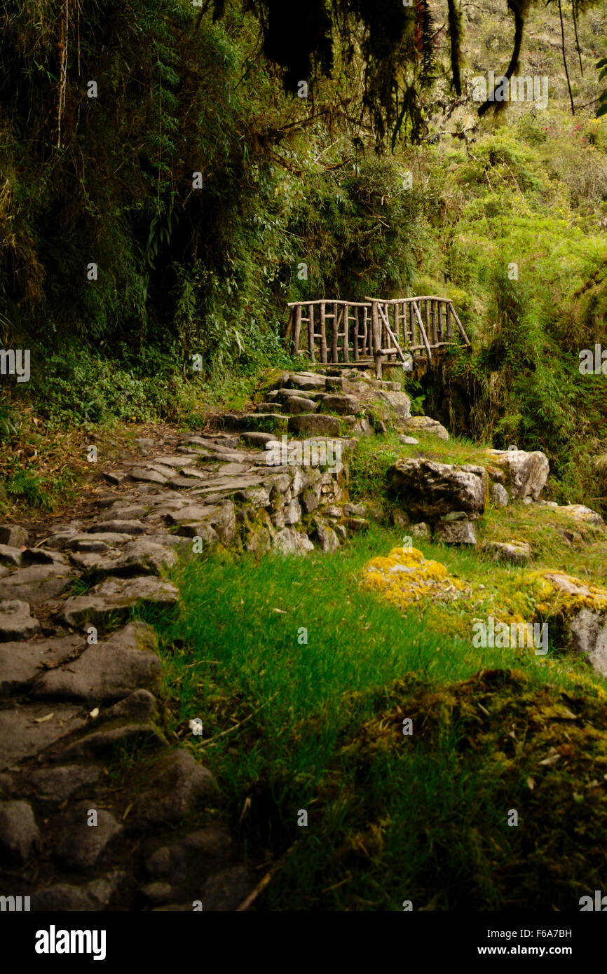 Inca Trail percorso nella foresta con un ponte di legno Foto Stock