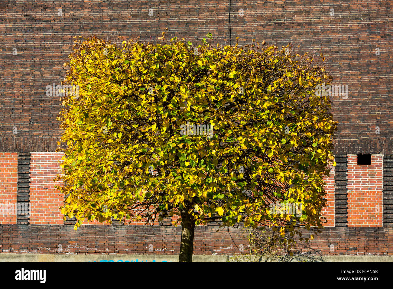 Giardino moderno e architettura del paesaggio in Nordsternpark, un ex miniera di carbone area, a Gelsenkirchen, Germania Foto Stock