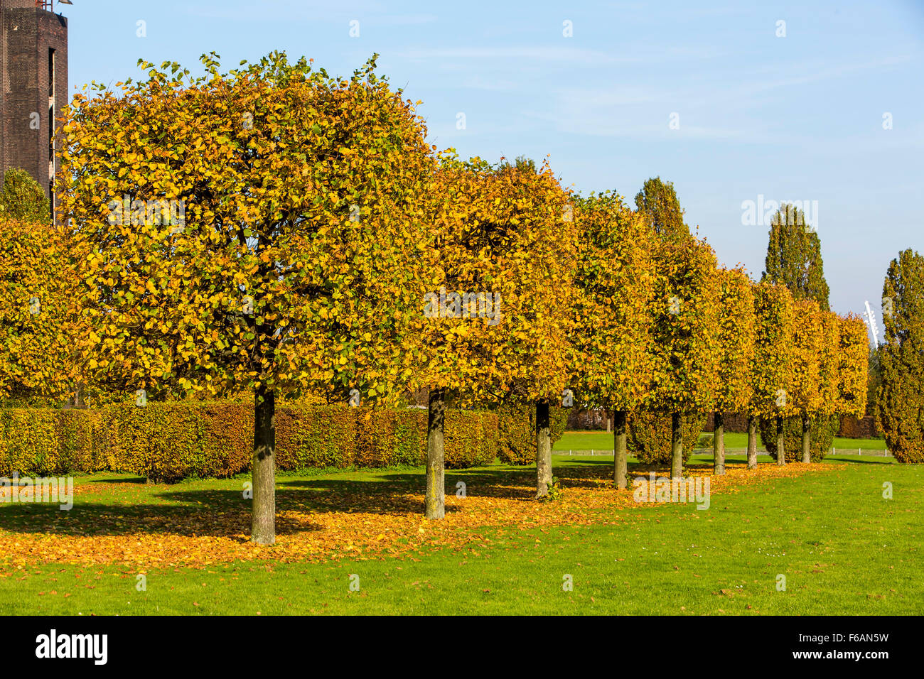 Giardino moderno e architettura del paesaggio in Nordsternpark, un ex miniera di carbone area, a Gelsenkirchen, Germania Foto Stock
