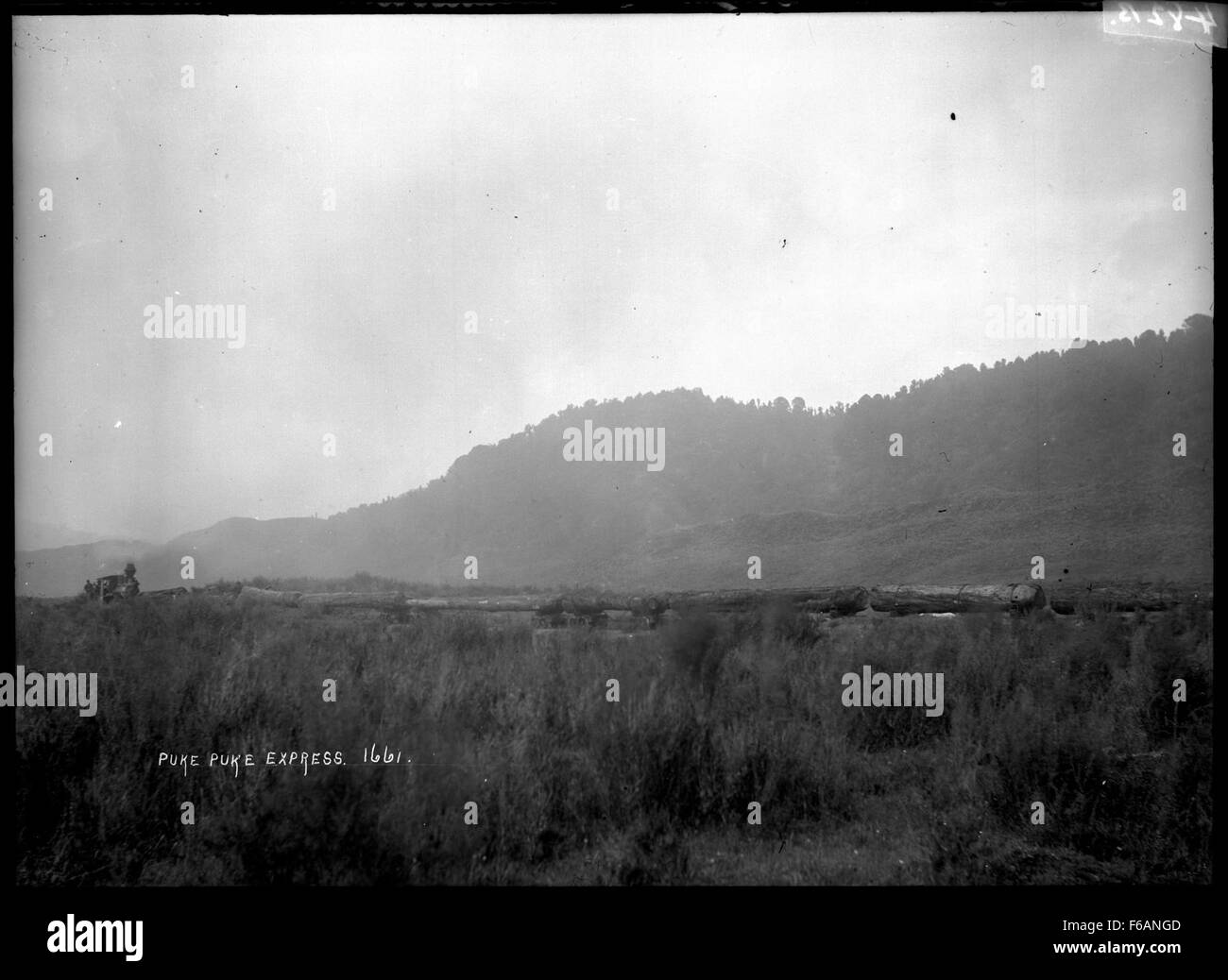 Un treno di taglialegna, noto come Puke Puke Express, che trasporta tronchi. Questo treno era una parte importante dell'industria del legno, serviva a spostare grandi quantità di tronchi dalle foreste agli impianti di lavorazione. Foto Stock