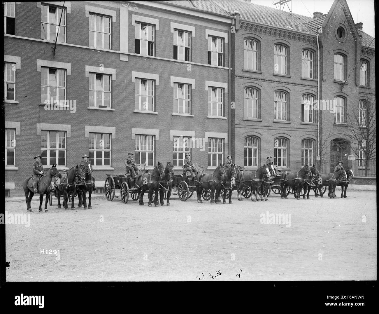 Questa fotografia storica mostra il trasporto di cavalli utilizzato dalla sede centrale della divisione neozelandese a Leverkusen, in Germania. Fornisce informazioni sulla logistica delle operazioni in tempo di guerra durante la prima guerra mondiale Foto Stock