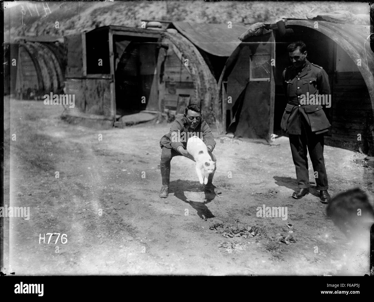 Questa fotografia mostra i Tunneller neozelandesi durante la prima guerra mondiale, di stanza a Dainville, in Francia, con la loro mascotte felina. I Tunnellers, parte della New Zealand Expeditionary Force, avevano il compito di costruire tunnel per la guerra, spesso in condizioni difficili. Foto Stock