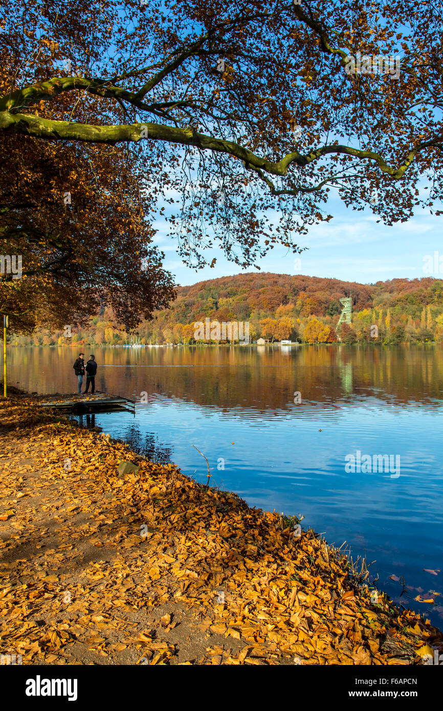 Lago Baldeneysee, di Essen, in Germania, la caduta di alberi in autunno colori, torre di avvolgimento della ex miniera di carbone Carl Funke, fiume Ruhr Foto Stock